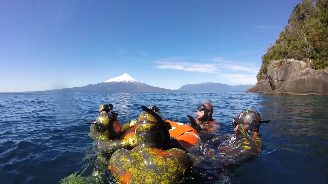 Grupo de personas en el agua de un lago del sur de Chile, con el volcán Osorno al fondo